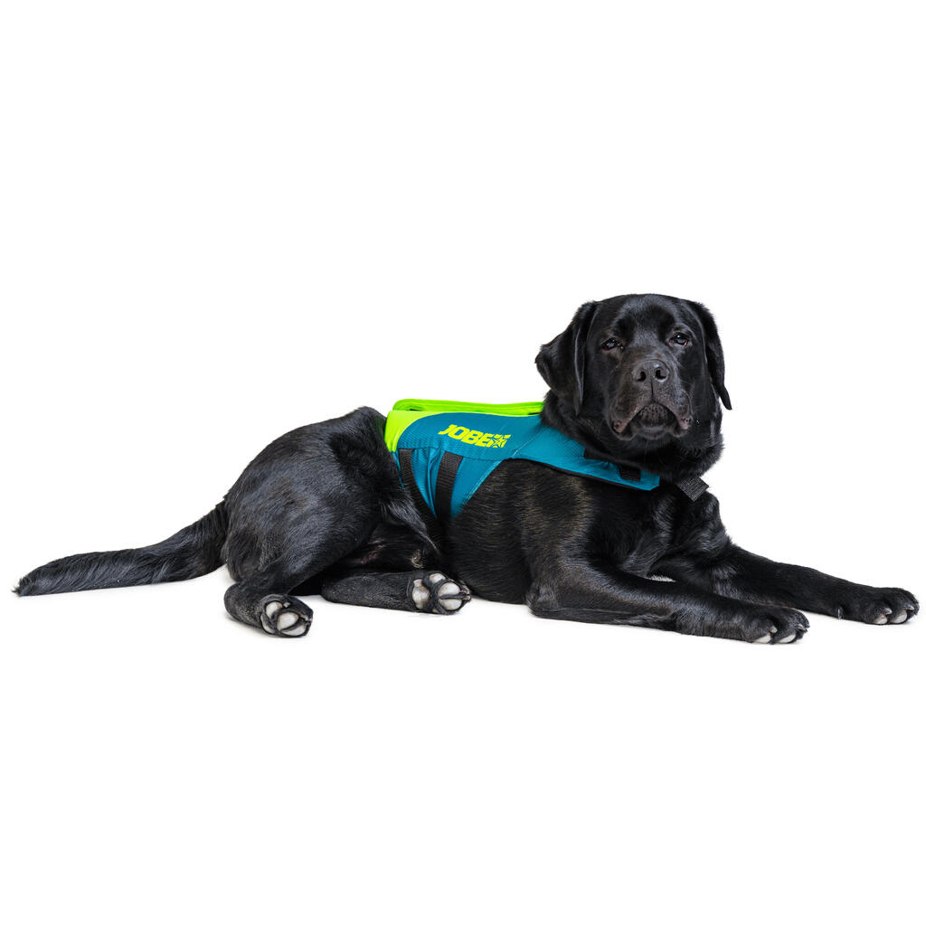 LIFE VEST FOR DOGS FOR USE DURING STAND UP PADDLE BOARDING, KAYAKING, SAILING